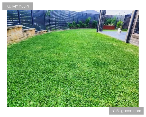 球场维护团队应对风雨天气:排水系统与草皮保护措施